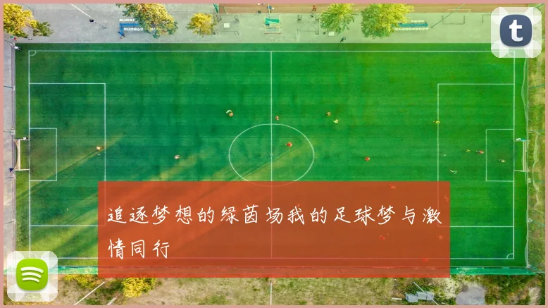 追逐梦想的绿茵场我的足球梦与激情同行