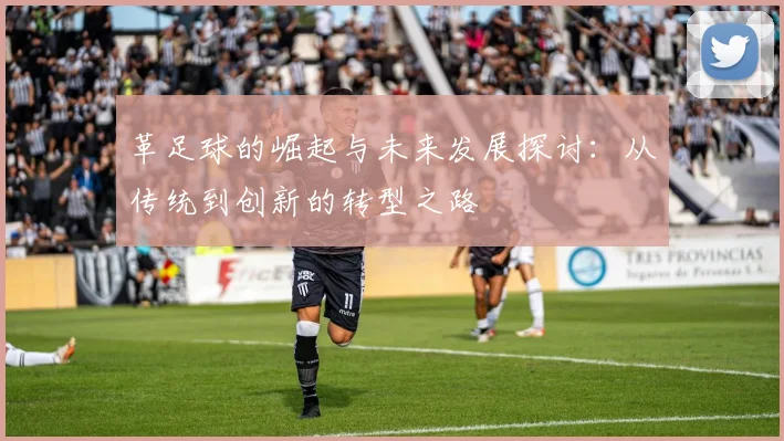 革足球的崛起与未来发展探讨：从传统到创新的转型之路